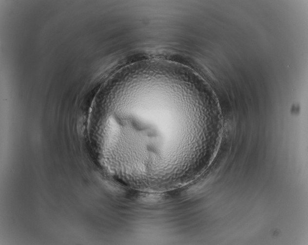 X0000090950671200708161757