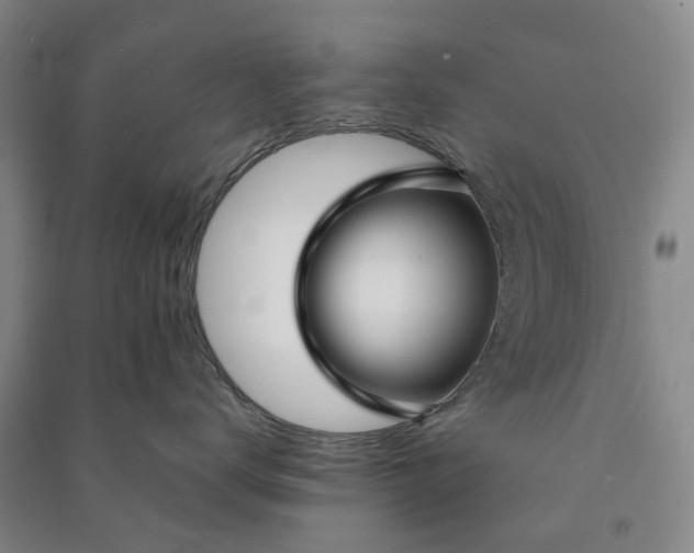 X0000090950672200708161757