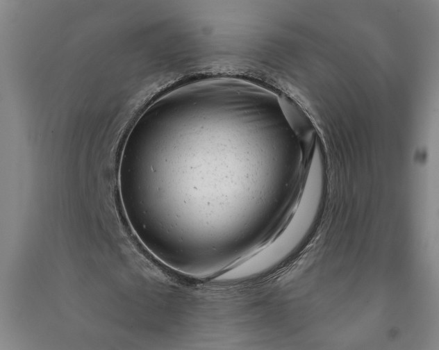 X0000090950673200708161756
