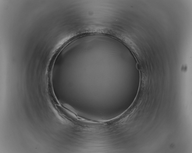 X0000090950674200708161756