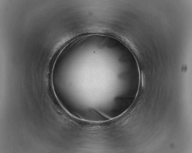 X0000090950675200708161756