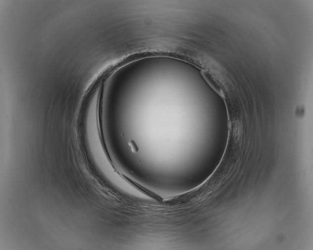 X0000090950676200708161756