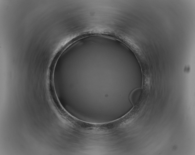X0000090950678200708161756