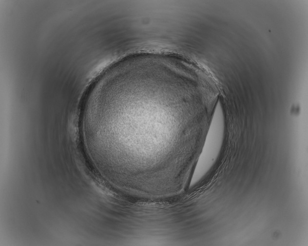 X0000090950679200708161756