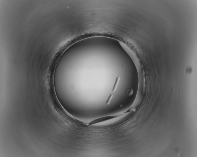 X0000090950680200708161756