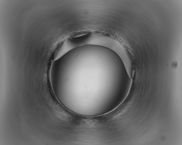 X0000090950681200708161756