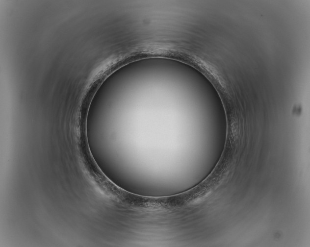 X0000090950682200708161756