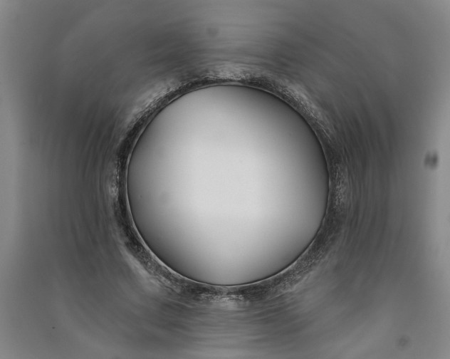 X0000090950683200708161756