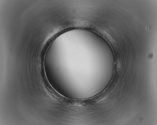 X0000090950684200708161756