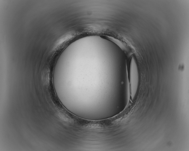 X0000090950685200708161756