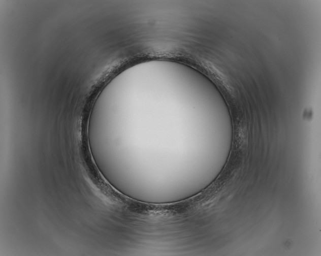 X0000090950686200708161756
