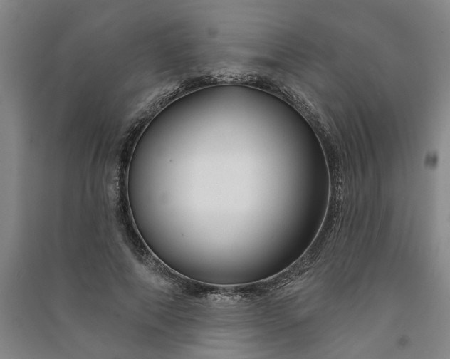 X0000090950690200708161756