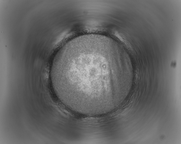 X0000090950691200708161756