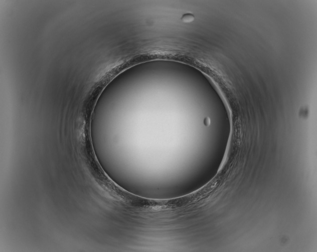 X0000090950692200708161756