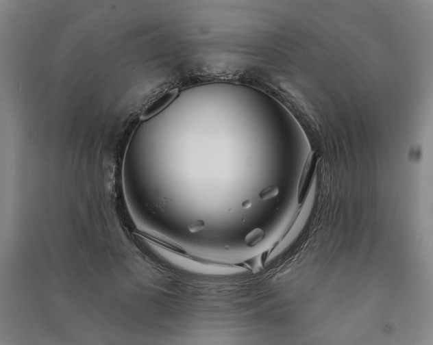 X0000090950693200708161756