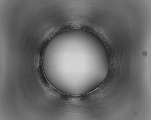 X0000090950694200708161756