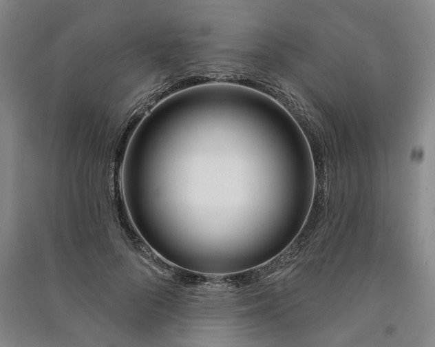 X0000090950696200708161756