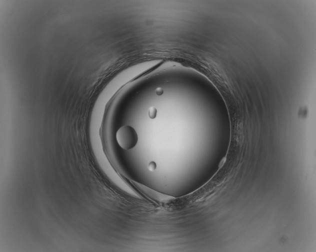 X0000090950697200708161756