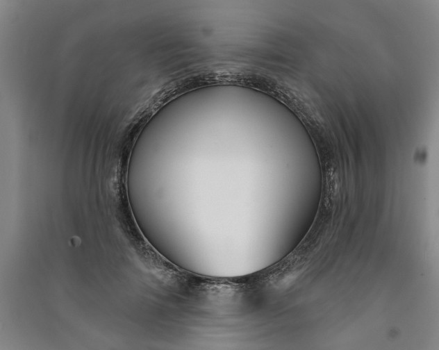 X0000090950698200708161756