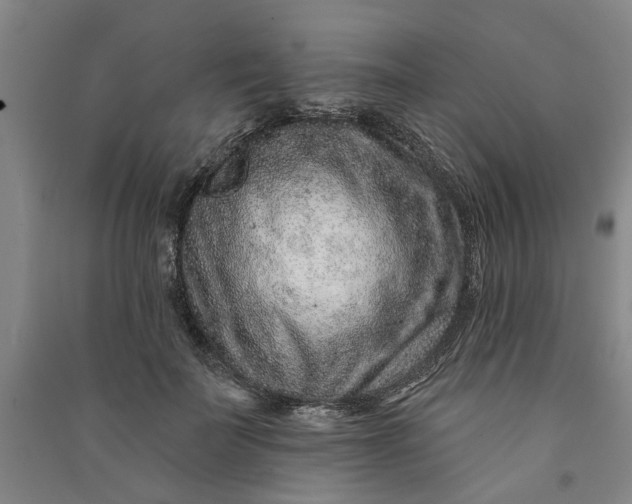 X0000090950699200708161756
