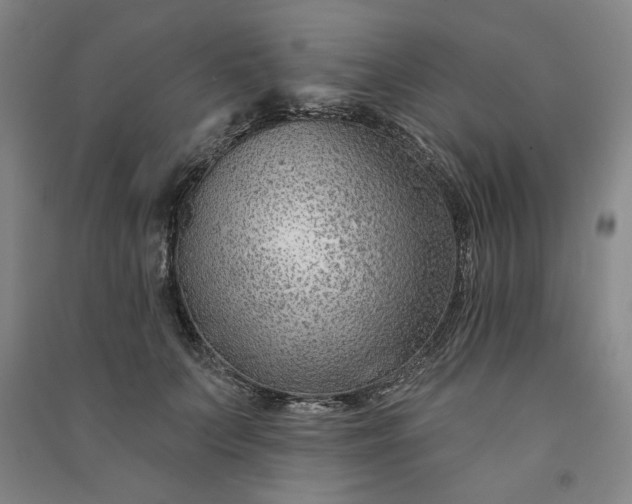 X0000090950703200708161756