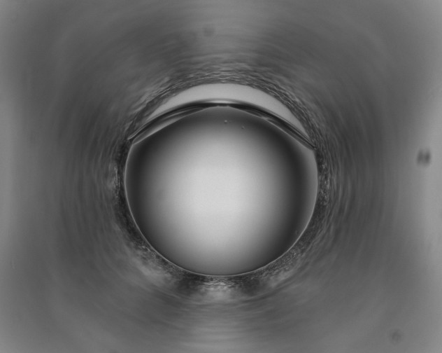X0000090950704200708161756