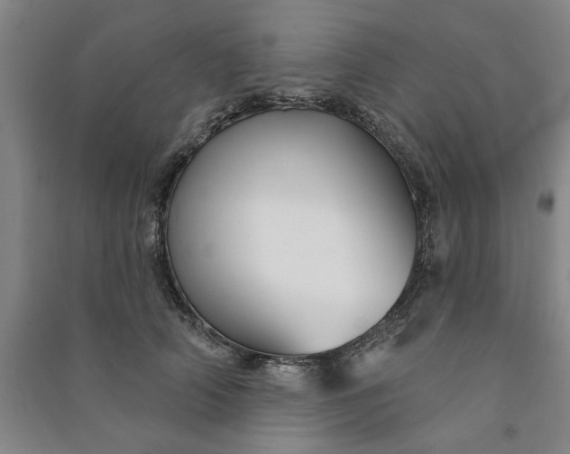 X0000090950706200708161756