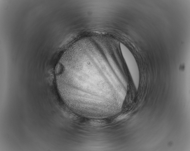X0000090950707200708161756