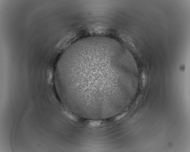 X0000090950709200708161756
