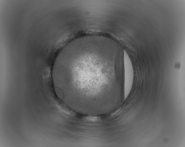 X0000090950711200708161756