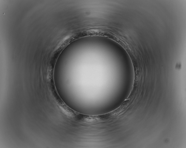 X0000090950712200708161756