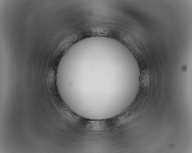 X0000090950713200708161756