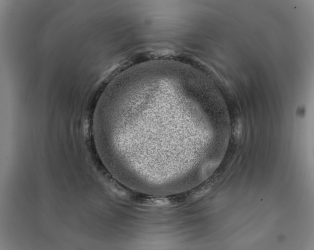 X0000090950715200708161756