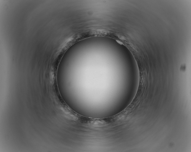X0000090950716200708161756