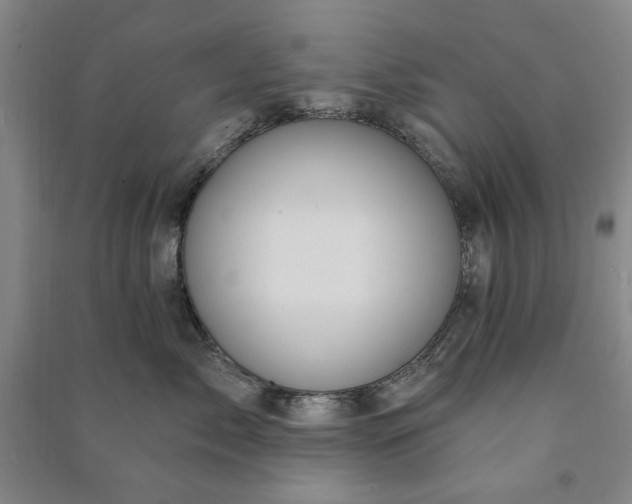 X0000090950717200708161756