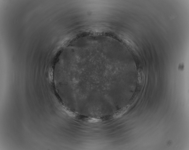X0000090950718200708161756
