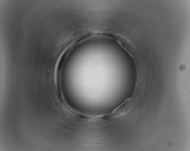 X0000090950720200708161756