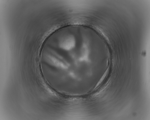X0000090950721200708161755