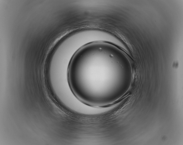 X0000090950722200708161755