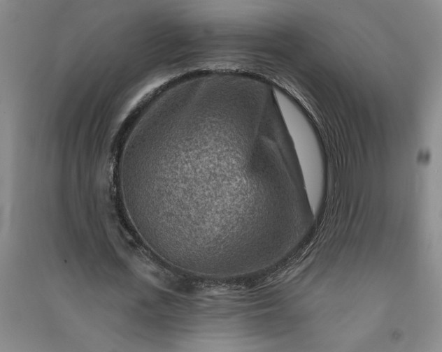 X0000090950723200708161755