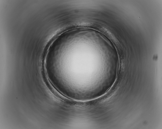 X0000090950725200708161755