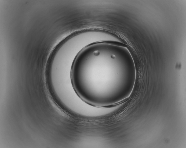 X0000090950726200708161755