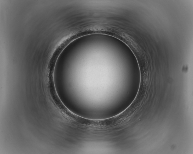 X0000090950727200708161755
