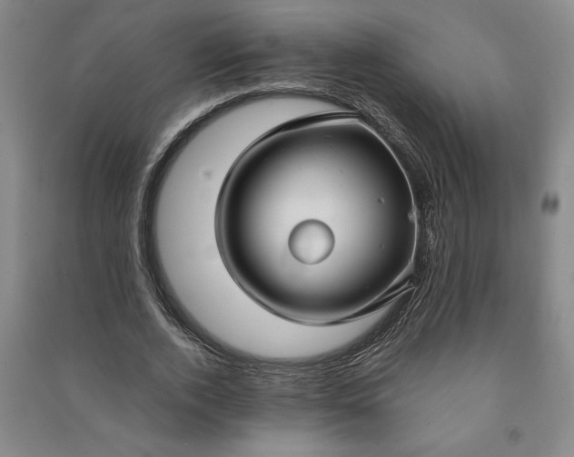 X0000090950728200708161755