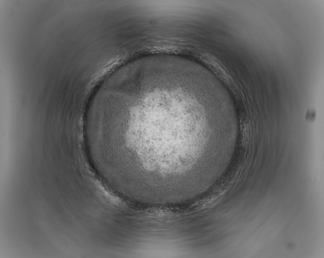 X0000090950729200708161755