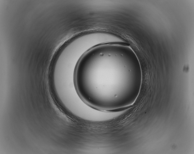 X0000090950730200708161755