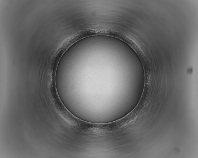 X0000090950733200708161755