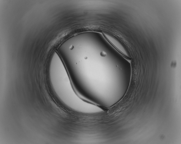 X0000090950734200708161755