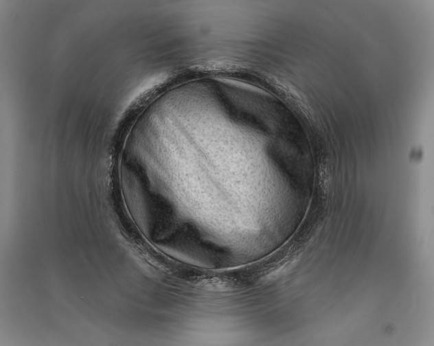 X0000090950735200708161755