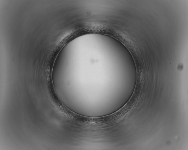 X0000090950737200708161755